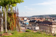 DRN, foto Ondřej Brém