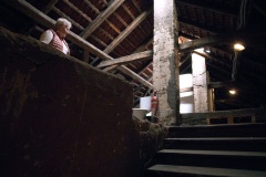 Krenovka, foto Martin Soukup