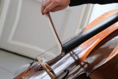koncert Vážný zájem v Kovařovicově vile, foto Hana Kabešová