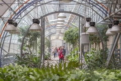 Prazsky_hrad_Oranzerie_20240518_Eva_Moricka_009