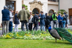 Prezidentska_rezidence_20240519_Jan_Urbanek-44