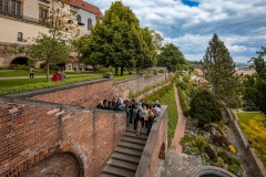 Prazsky_hrad_Hartigovska_zahrada_20250517_foto_Valeria_Semenova-004