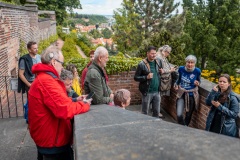Prazsky_hrad_Hartigovska_zahrada_20250517_foto_Valeria_Semenova-021
