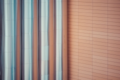 2022_Detail_1_misto_Tomas_Salac