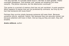 Too beautiful to be sold - 3