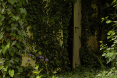 Too beautiful to be sold - 6