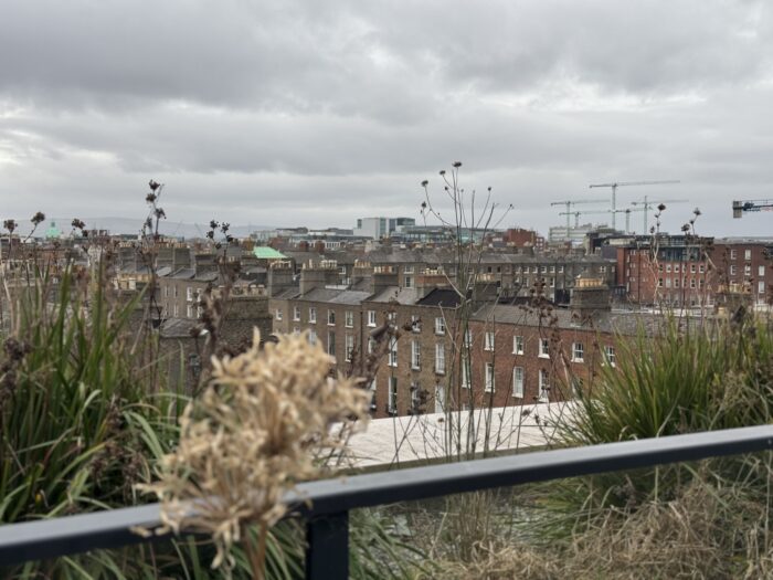 výhled na dublinské střechy